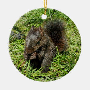 Baby squirrel ceramic tree decoration