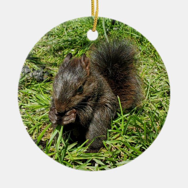 Baby squirrel ceramic tree decoration (Front)