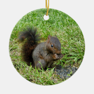 Baby squirrel ceramic tree decoration