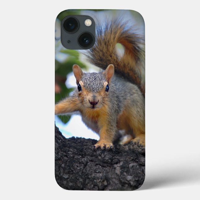 Baby Squirrel in Tree Case-Mate iPhone Case (Back)