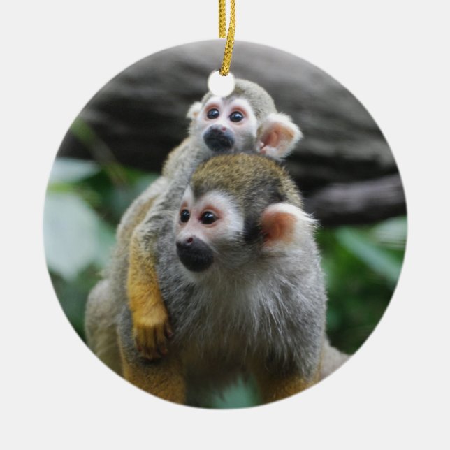 Baby Squirrel Monkey  Ornament (Front)