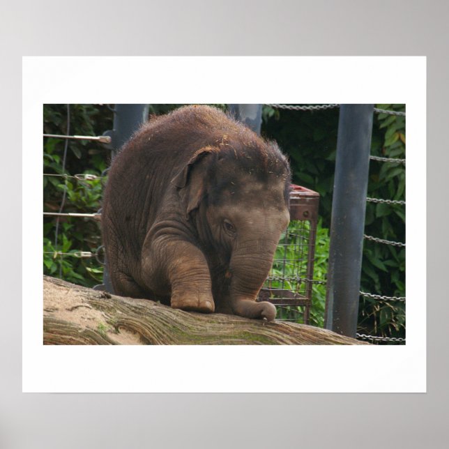 Baby Steps Poster (Front)