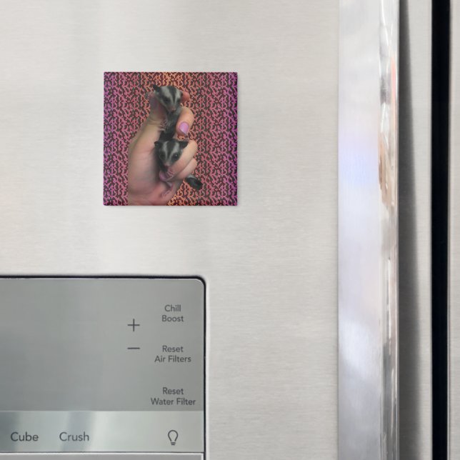 Baby Sugar Glider Magnet (In Situ (Fridge))