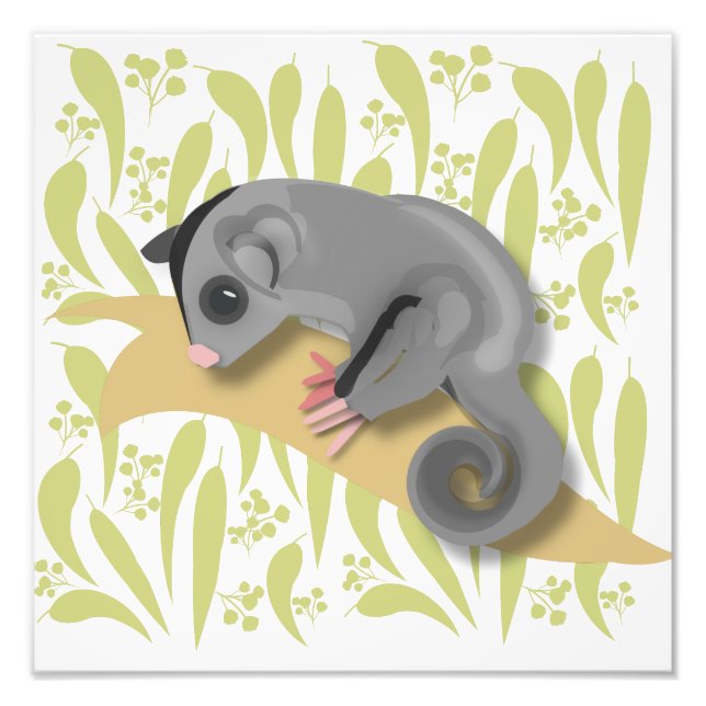 Baby Sugar Glider Photo Print (Front)