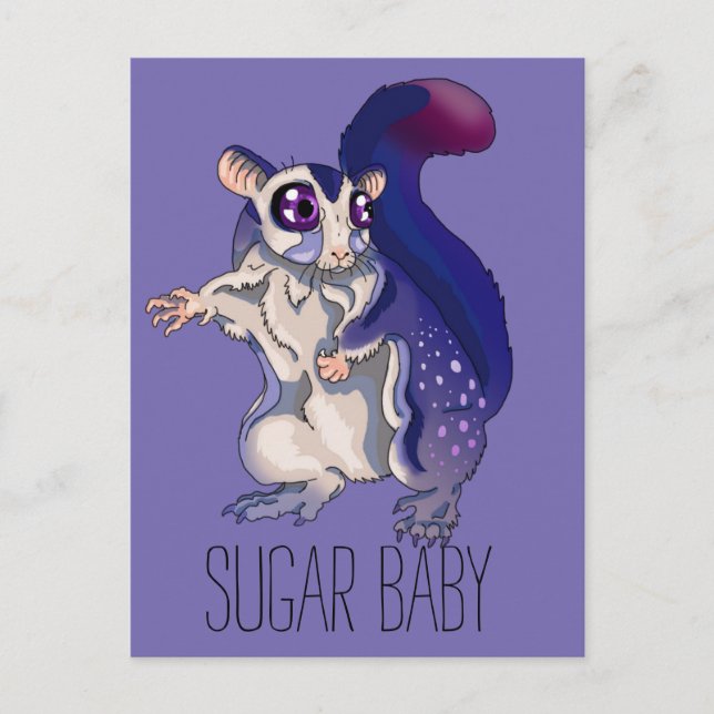 Baby Sugar Glider Postcard (Front)