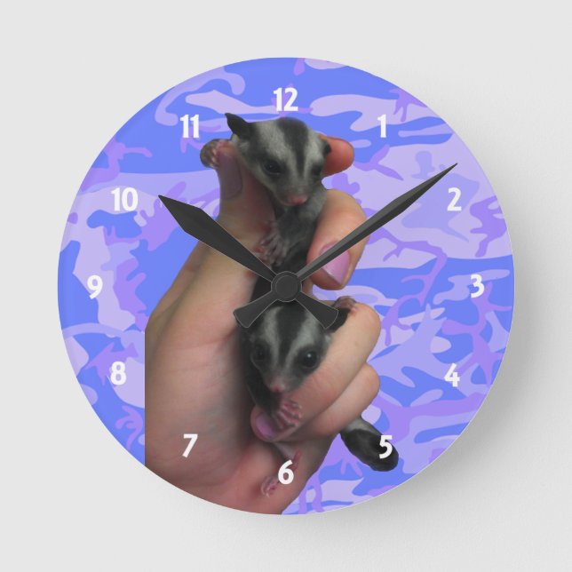 Baby Sugar Gliders Clock (Front)