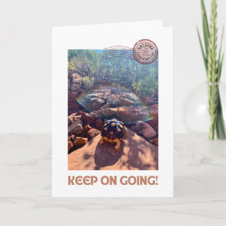 Baby Sulcata Tortoise Keep On Going Inspiration Card