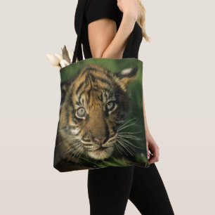 Baby Sumatran Tiger Tote Bag