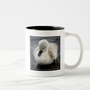 Baby Swan Cygnet Two-Tone Coffee Mug