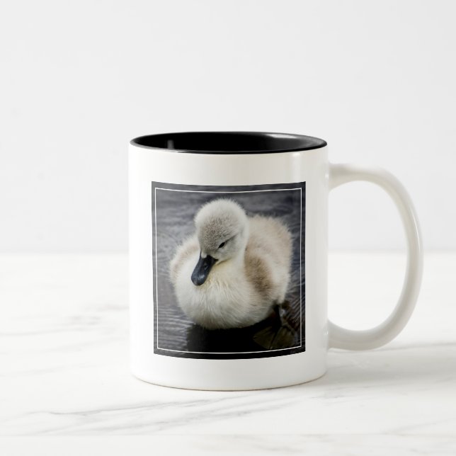 Baby Swan | Cygnet Two-Tone Coffee Mug (Right)