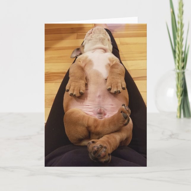 Baby Thor The Bulldog Greeting Card (Front)