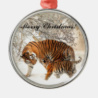 Baby tiger and Tiger mum in a snowy forest