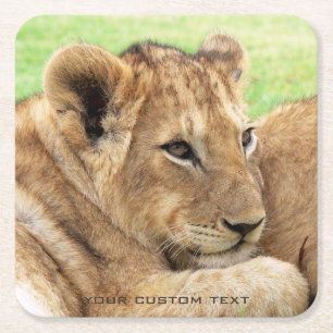 Baby Tiger custom coasters