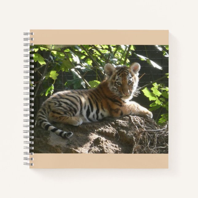 Baby Tiger in the Sun Notebook (Front)