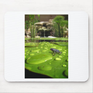 Baby Toad in Pond Mouse Pad