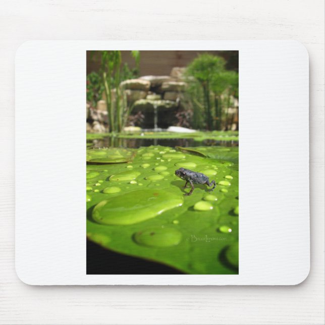 Baby Toad in Pond Mouse Pad (Front)