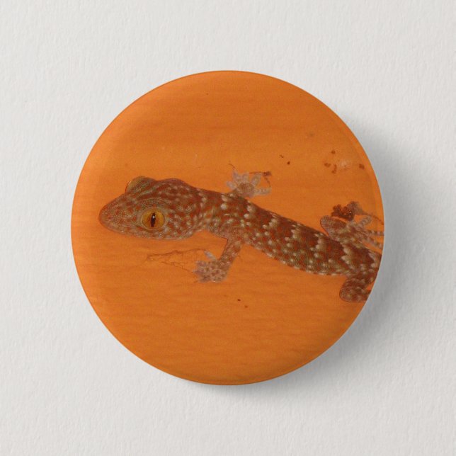 Baby Tokay Gecko 6 Cm Round Badge (Front)