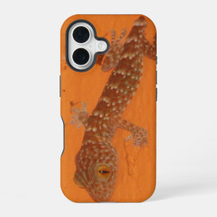 Baby Tokay Gecko iPhone 16 Case