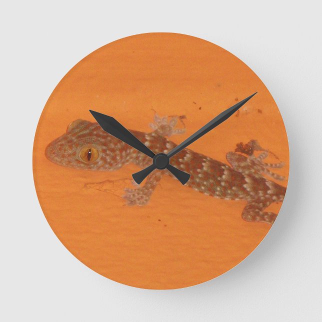 Baby Tokay Gecko Round Clock (Front)