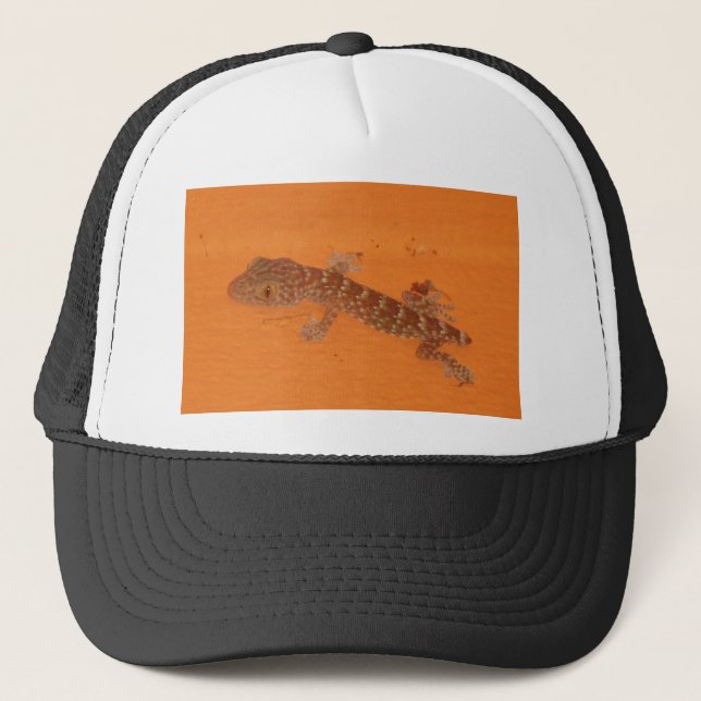 Baby Tokay Gecko Trucker Hat (Front)