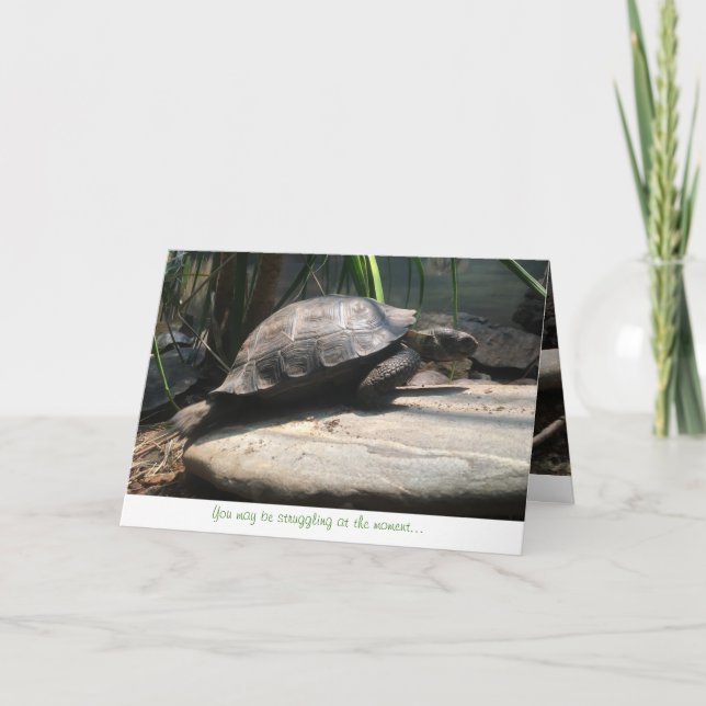 baby tortoise greeting card (encouragement) (Front)