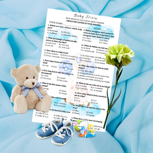 Baby Trivia Little Lamb Soaring High in Boy Blue (Creator Uploaded)