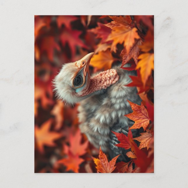 Baby Turkey in Autumn Postcard (Front)