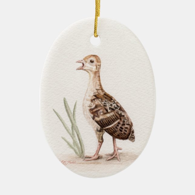 Baby Turkey Ornament (Front)