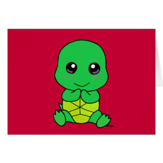 Baby turtle