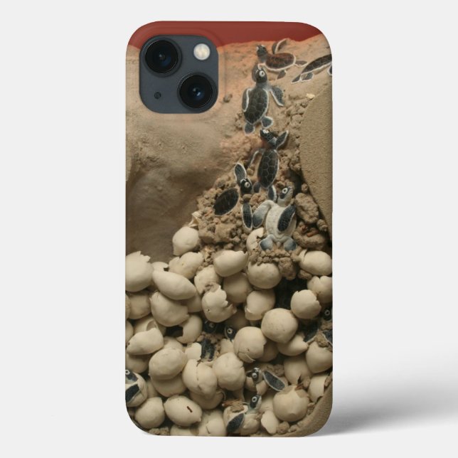 Baby Turtle Eggs Hatching Case-Mate iPhone Case (Back)