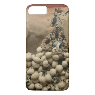 Baby Turtle Eggs Hatching Case-Mate iPhone Case