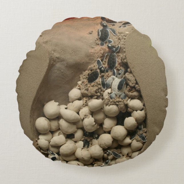 Baby Turtle Eggs Hatching Round Cushion (Front)