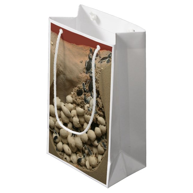 Baby Turtle Eggs Hatching Small Gift Bag (Front Angled)