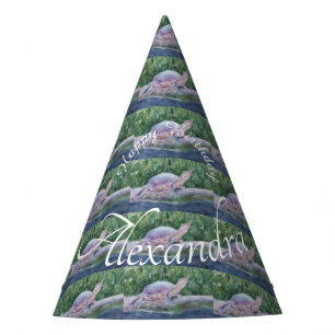 Baby Turtle Happy Birthday Party Hat