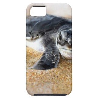 baby-turtle. iphone case