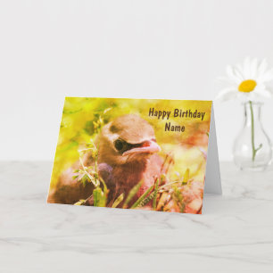 Baby Waxwing Bird Art Personalised Birthday   Card
