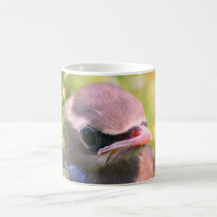Baby Waxwing Bird Face Nature Personalized Coffee Mug