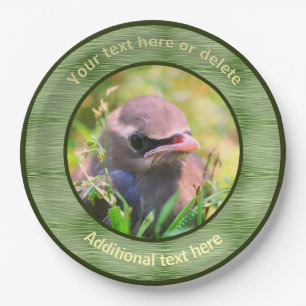 Baby Waxwing Bird Nature Personalised Party Paper Plate