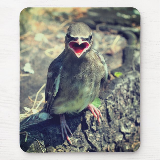 Baby Waxwing Fledgling Bird Nature  Mouse Pad (Front)