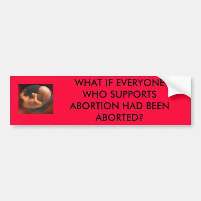 BABY, WHAT IF EVERYONE WHO SUPPORTS ABORTION HA... BUMPER STICKER (Front)
