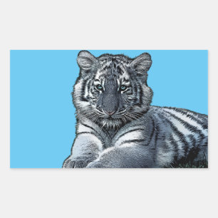 baby white baby tiger cub jungle safari animal art rectangular sticker