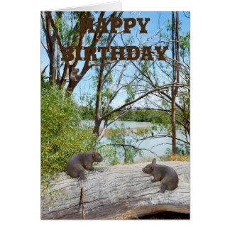 Baby Wombats Playing On A Log, Birthday