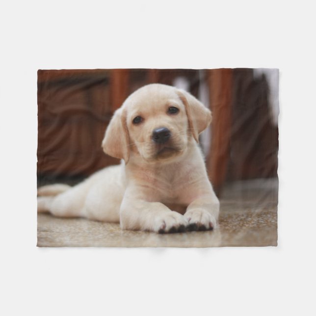 Baby Yellow Labrador Puppy Dog laying on Belly Fleece Blanket (Front (Horizontal))