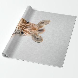 Baby Zebra Colourful Canvas Wrapping Paper