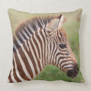 Baby zebra head, Tanzania Cushion