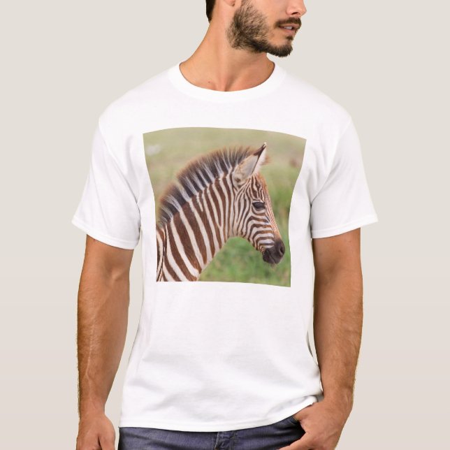 Baby zebra head, Tanzania T-Shirt (Front)