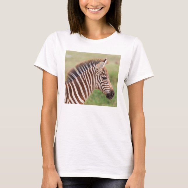 Baby zebra head, Tanzania T-Shirt (Front)