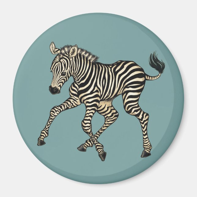 Baby Zebra Magnet (Front)