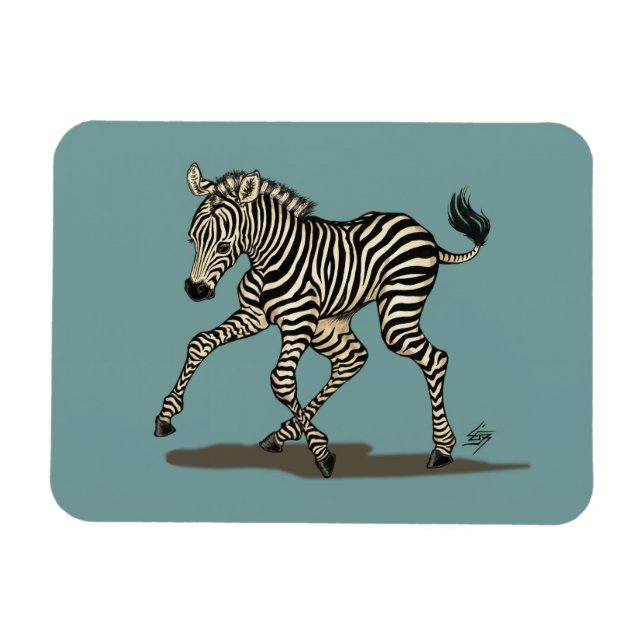 Baby zebra on blue background magnet (Horizontal)