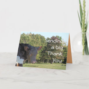 BabyCalf ThankYou-customise any occasion Thank You Card